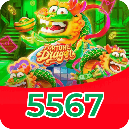 Termos e Condições Transparentes 5567